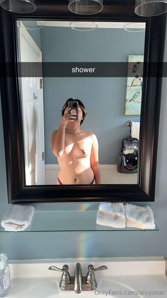 aivysoar
