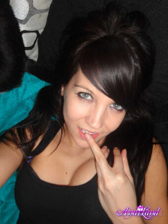 Andi Land