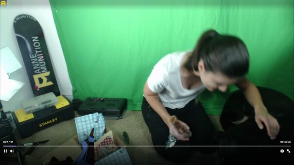 AnneMunition