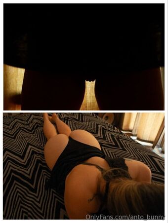 anto_bunny