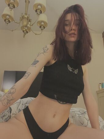 arina_gp