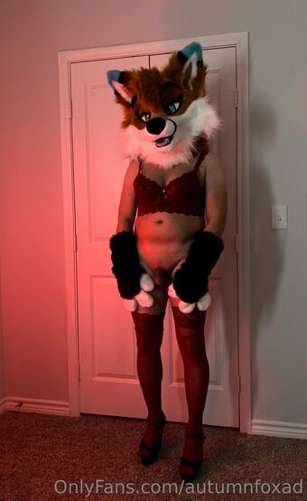 autumnfoxad
