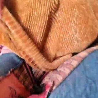 Cami Sweet Foto Nua Vazada OnlyFans 40