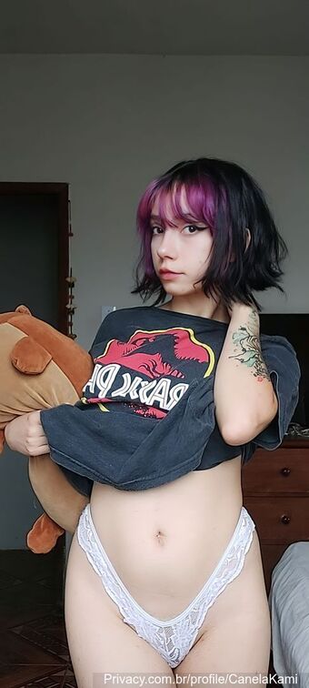 CKami Foto Nua Vazada OnlyFans 33