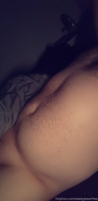 daddyybearrfree
