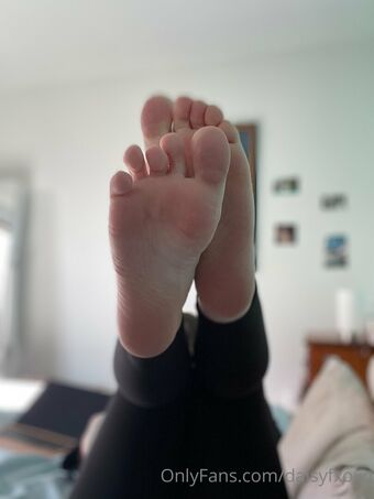 daisyfxoxo