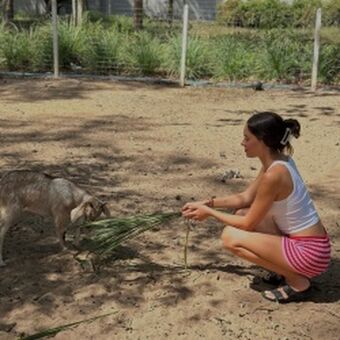 Daniela Melchior Foto Nua Vazada OnlyFans 511