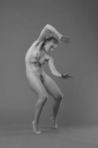 Dottirmodel