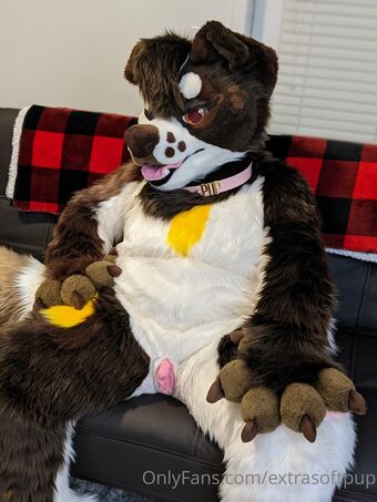 extrasoftpup