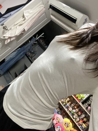 fay_3340
