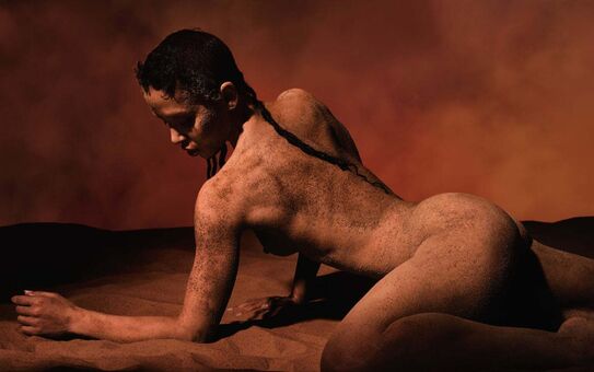 fkatwigs