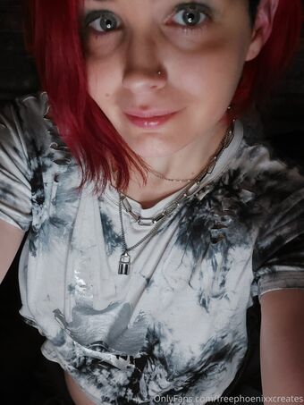 freephoenixxcreates Foto Nua Vazada OnlyFans 18