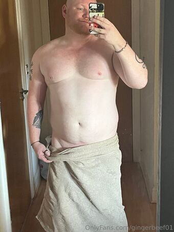 gingerbeef01