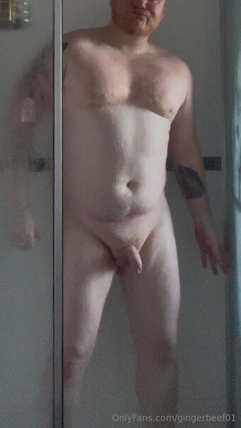 gingerbeef01