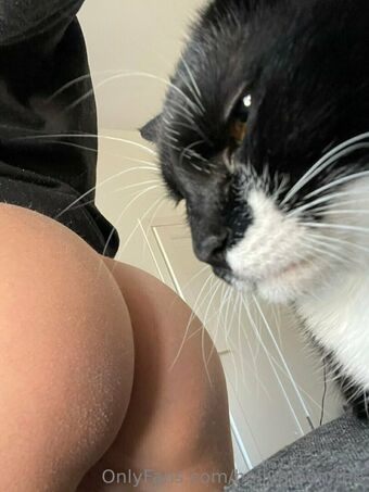 hollymoonvvip Foto Nua Vazada OnlyFans 3