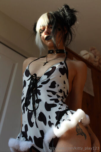 kitty_play123