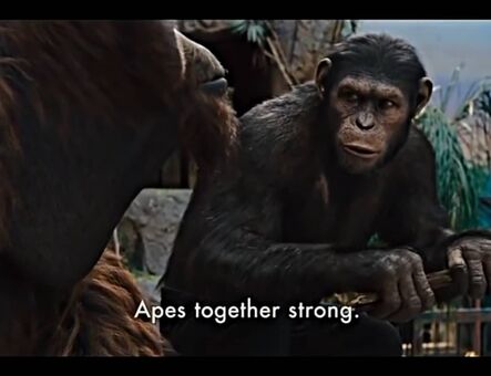 lilijunex Foto Nua Vazada OnlyFans 125