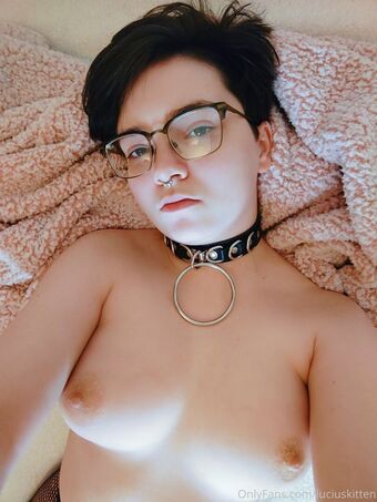 luciuskitten