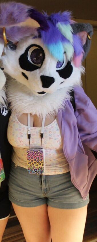 Murrsuit