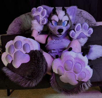 Murrsuit