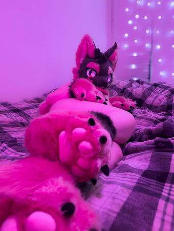 Murrsuit