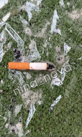 nina_nova