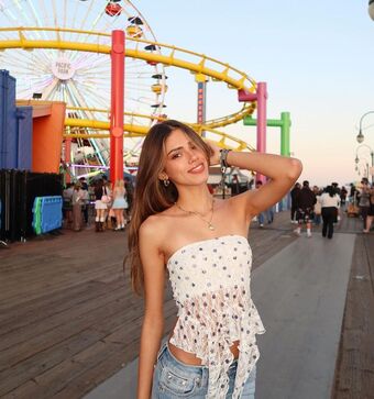nottrebeca_
