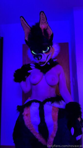 novaxcat