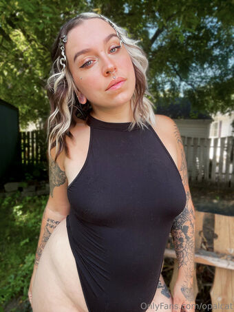opalcat Foto Nua Vazada OnlyFans 17