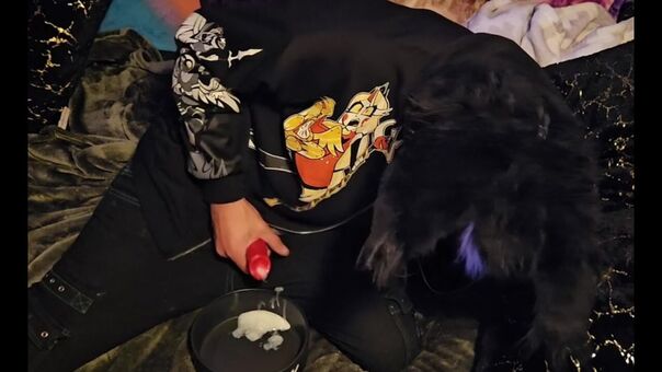 pawsheisty Foto Nua Vazada OnlyFans 7