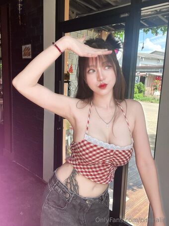 Pimnalin Foto Nua Vazada OnlyFans 57