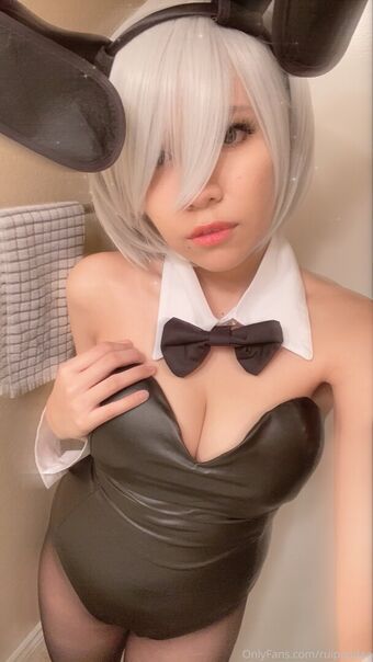 Ruipandaa