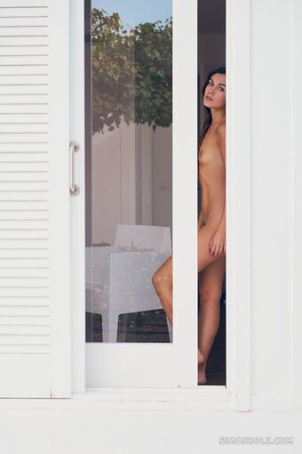 sabi_model