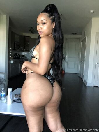 sachelamonte