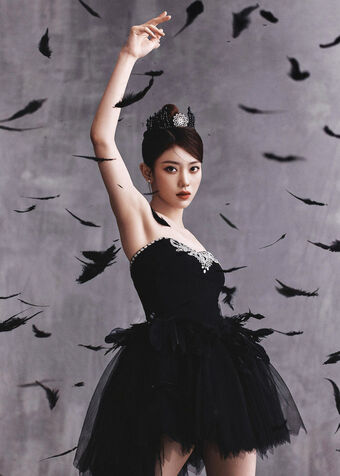 Shen Xiaoting