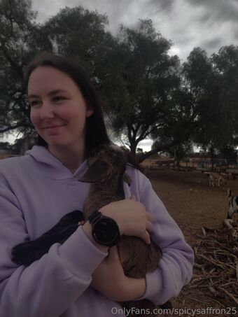 spicysaffron25