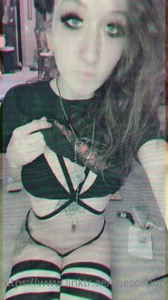 spunbunny