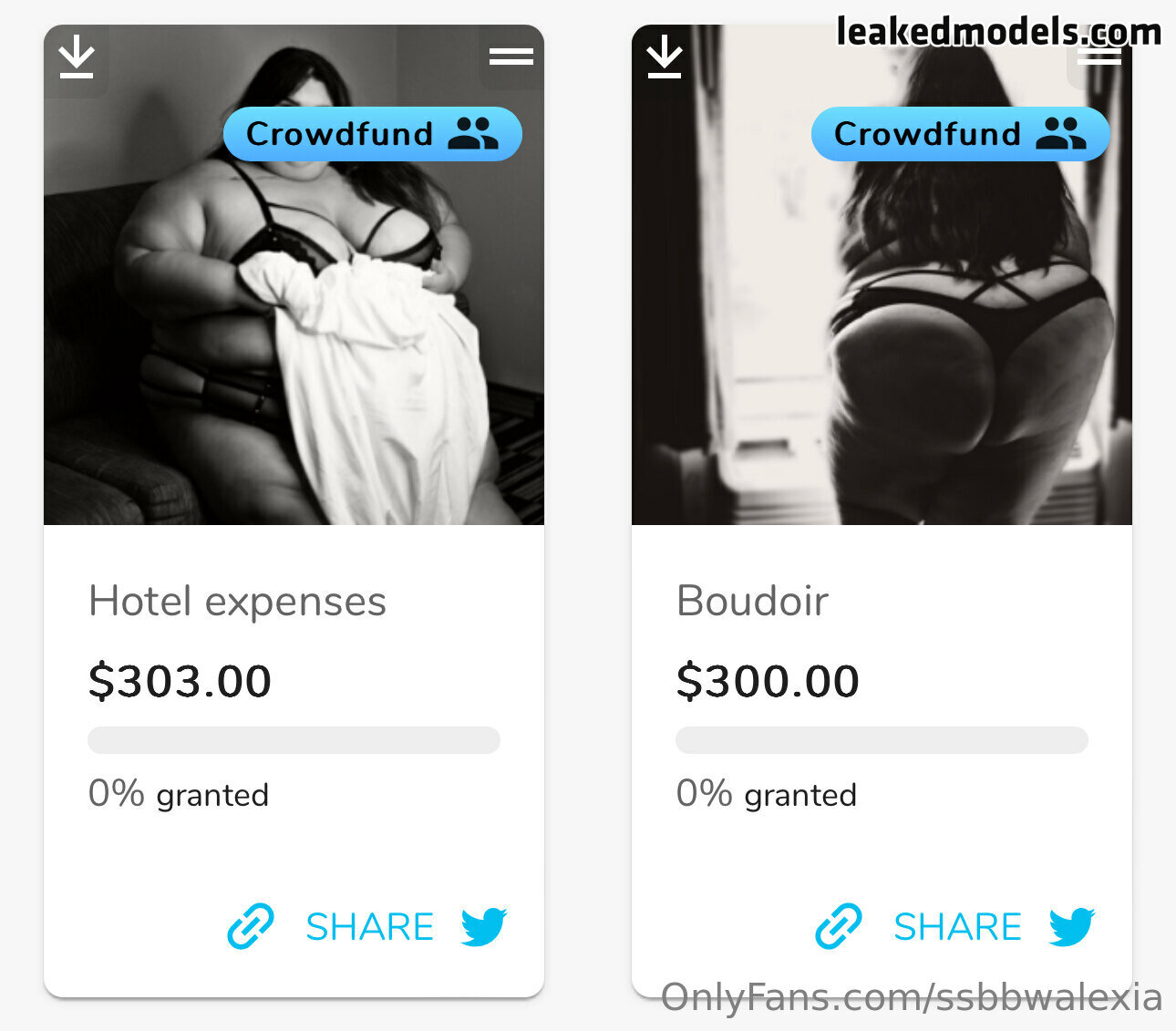 ssbbwalexia Foto #15