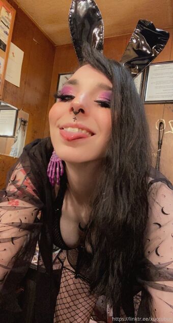 svxxvbvs