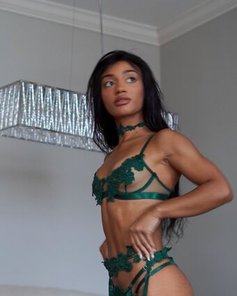 taylorchamp