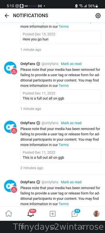 tffnydays2wintarrose