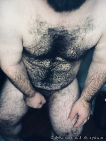 thefurrydwarf