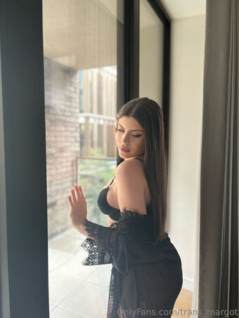 trans_margot
