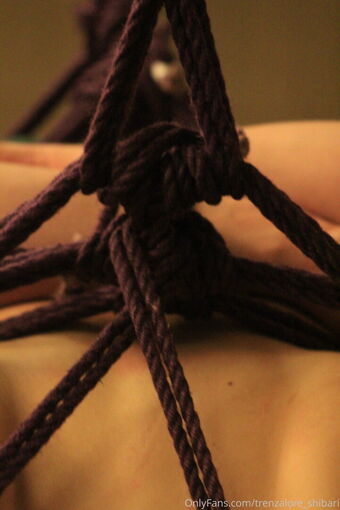 trenzalore_shibari