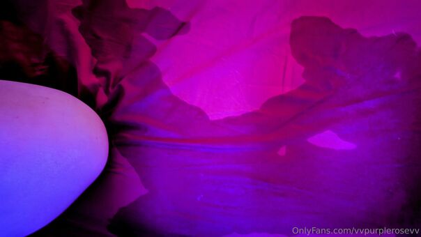 vvpurplerosevv