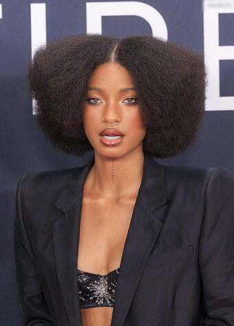 Willow Smith Foto Nua Vazada OnlyFans 23
