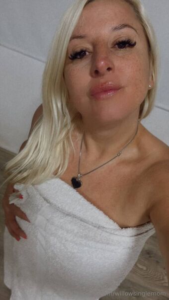 willowsinglemom Foto Nua Vazada OnlyFans 3