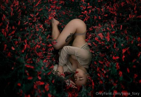 yanafoxy_free